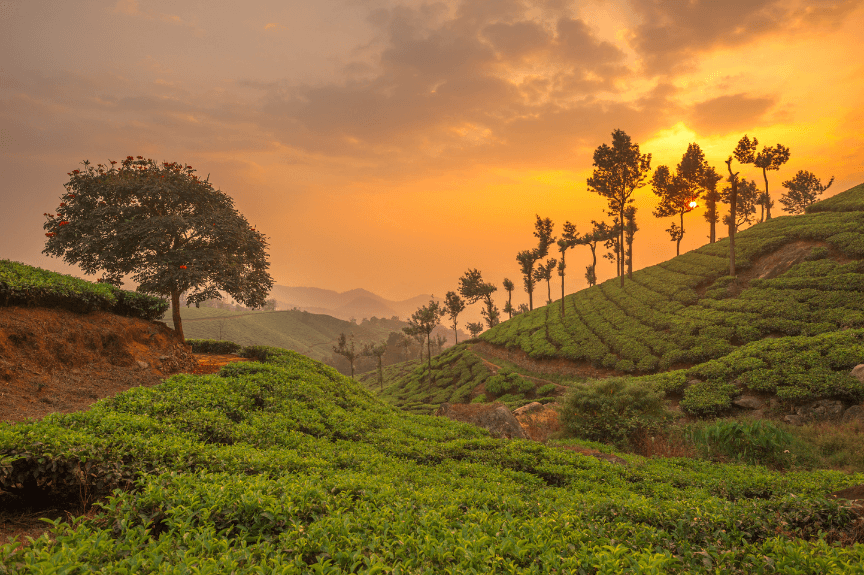 Gateway to Kerala