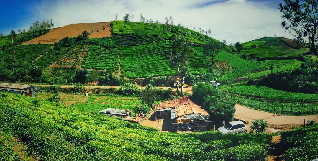Stunning South