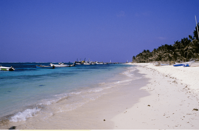 Discover Lakshadweep